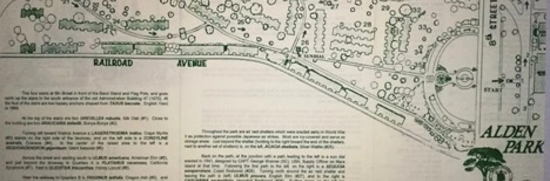 photos by Sally Thompson