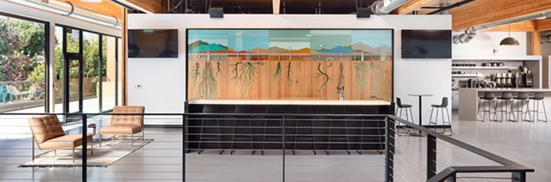 This is Miridae's Seed Bank Living Wall at DPR Construction that won the America Society of Landscape Architects' Award of Excellence. The annual contest draws entries from around the world. (Photo by Chad Davies)