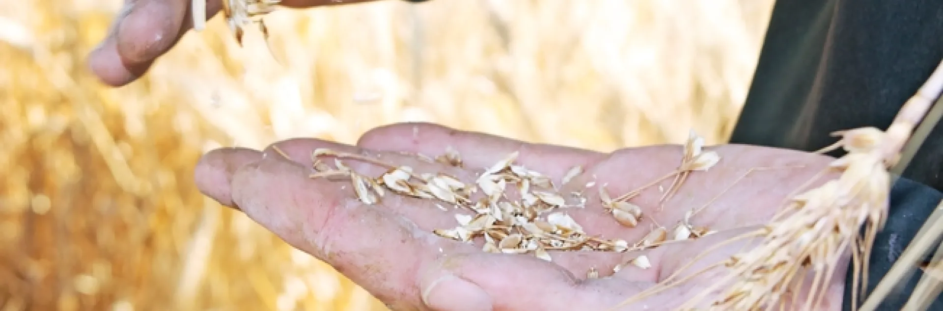 Sample photo by Evett Kilmartin.