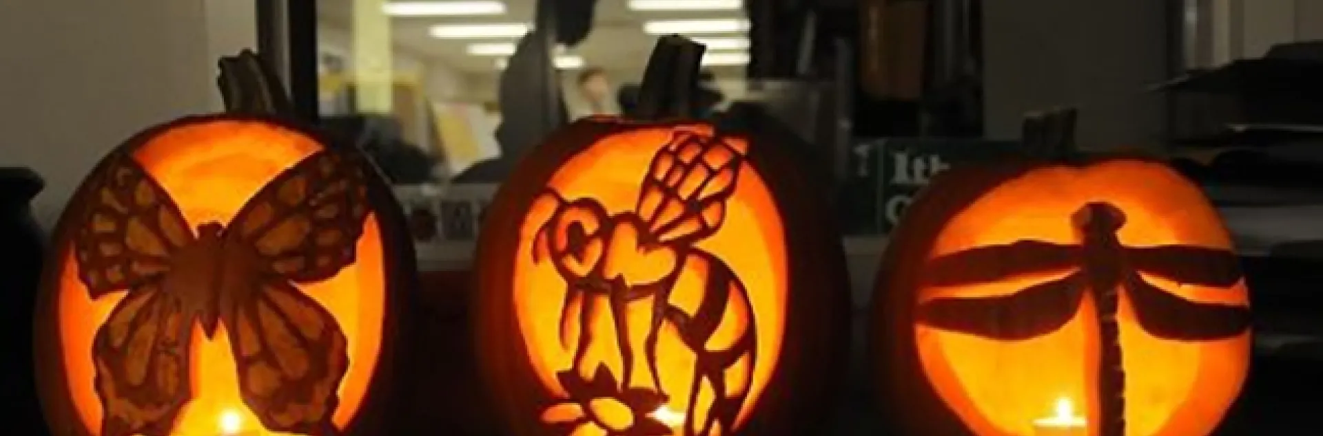 These three jack o'lanterns represent a butterfly, bee and dragonfly. They were among Halloween decorations at the Bohart Museum of Entomology's annual Halloween parties. (Photo by Kathy Keatley Garvey)