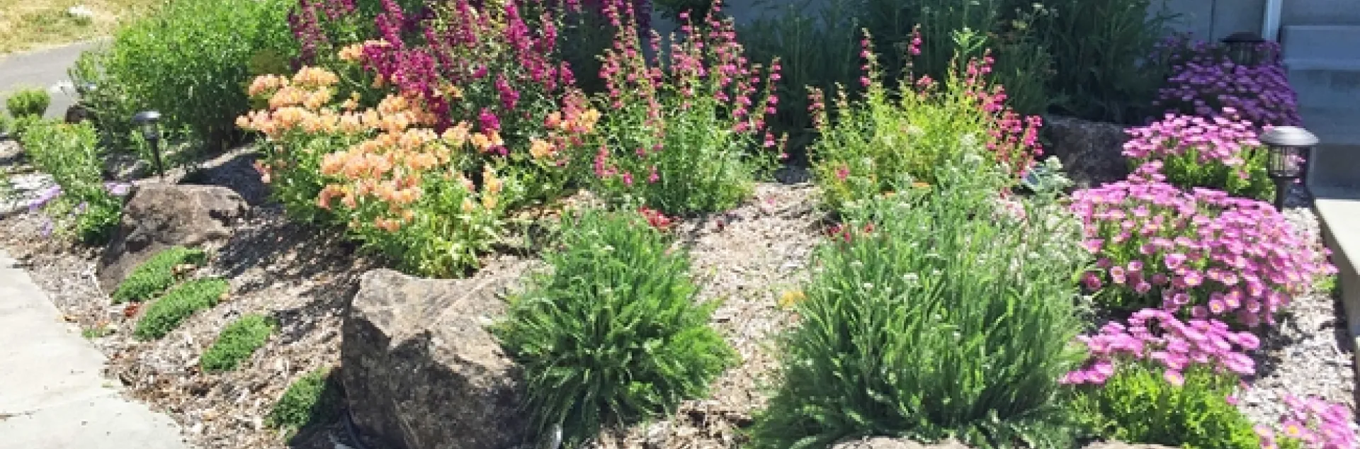 Garden Sense project after, year 2. Photo by Leslie Hart