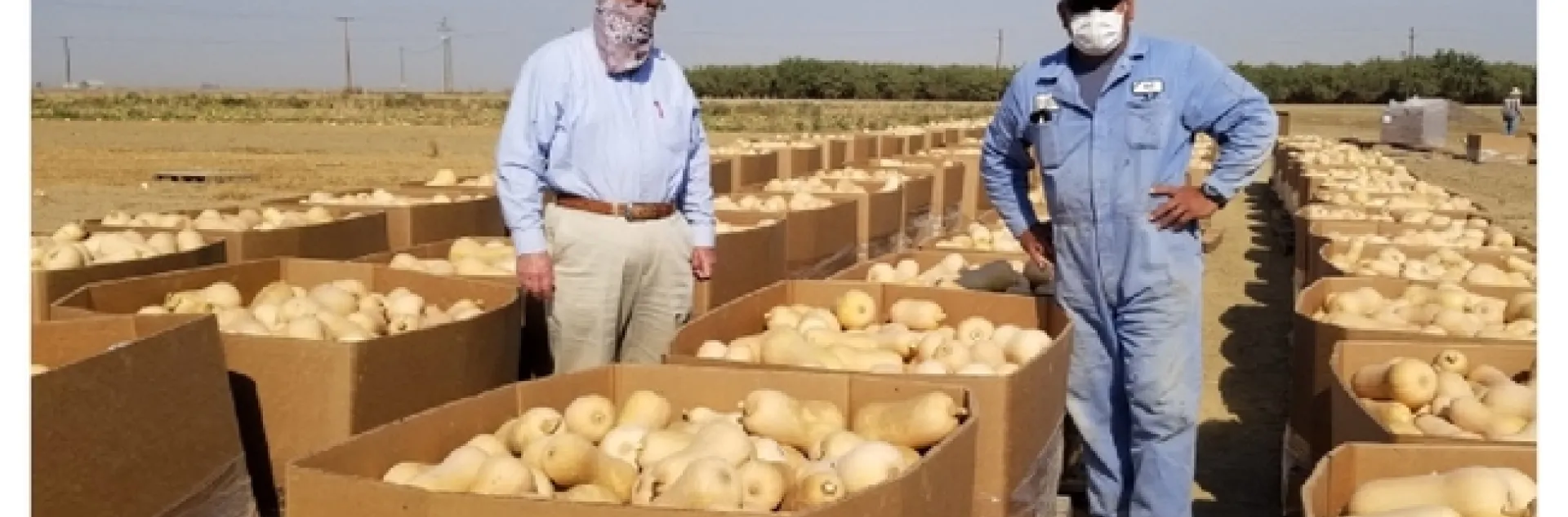 Jeff Mitchell and West Side REC partner with a local grower to donate butternut squash to the Central California Food Bank (from Morning Ag Clips)