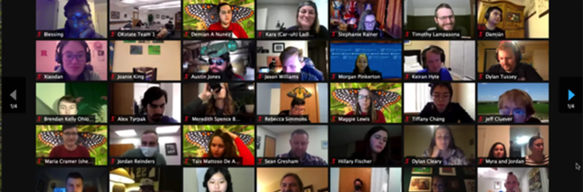 A screen shot of the finals at the Virtual Entomology Games. (Image by Jill Oberski)