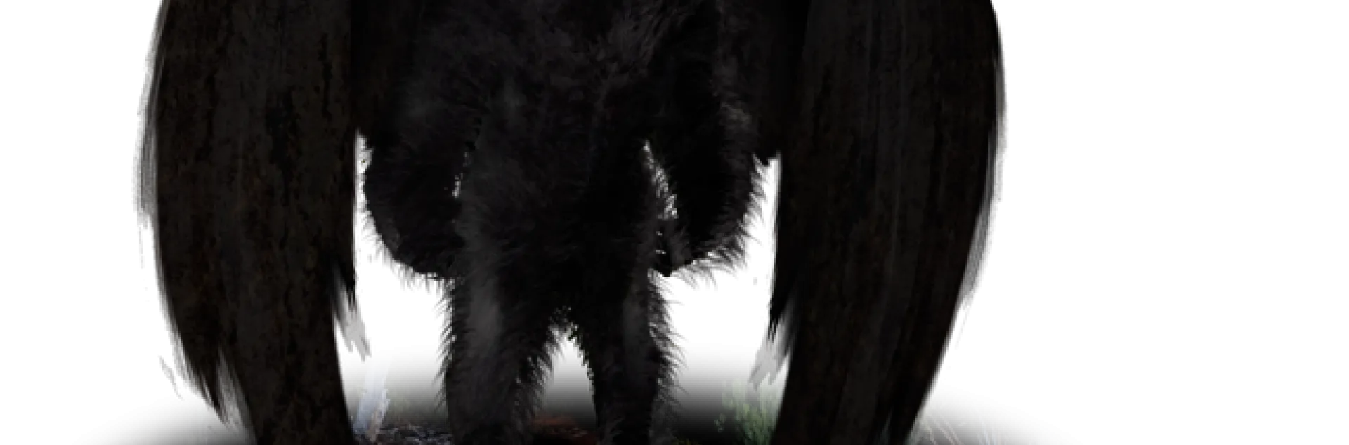 A question about the paranormal figure Mothman drew interest at the Entomology Games, hosted by the Entomological Society of America. (Illustration by Tim Bertelink, Wikipedia)