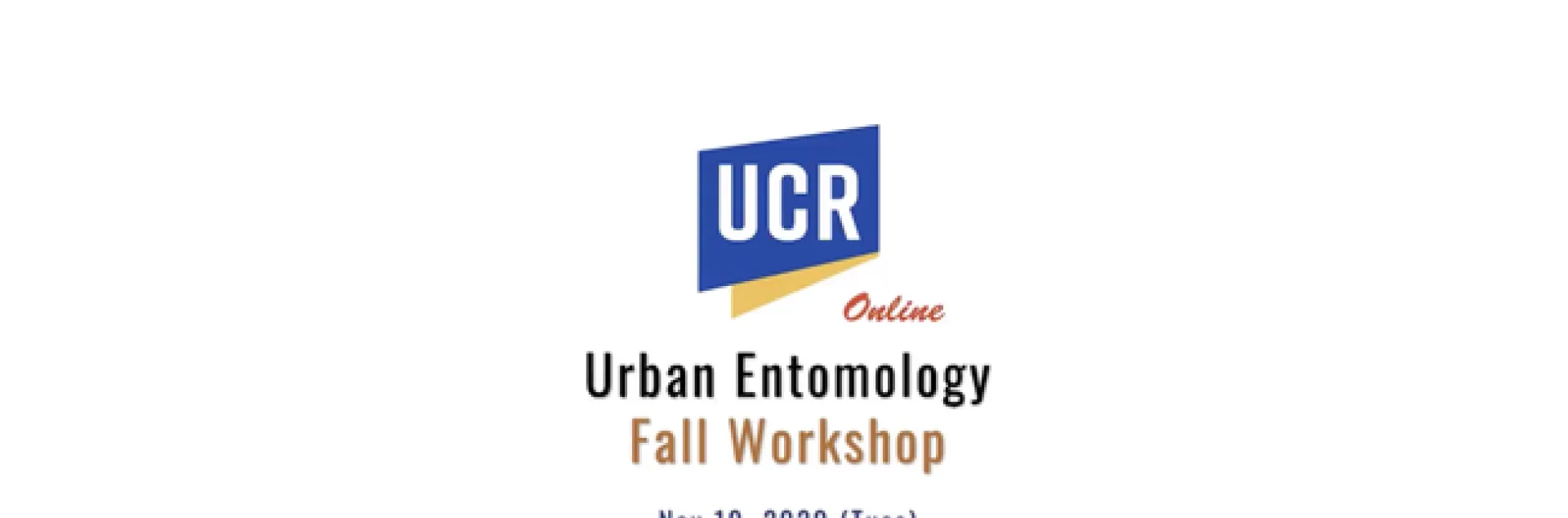 Screen Shot 2020-11-22 at 7.44.07 PM