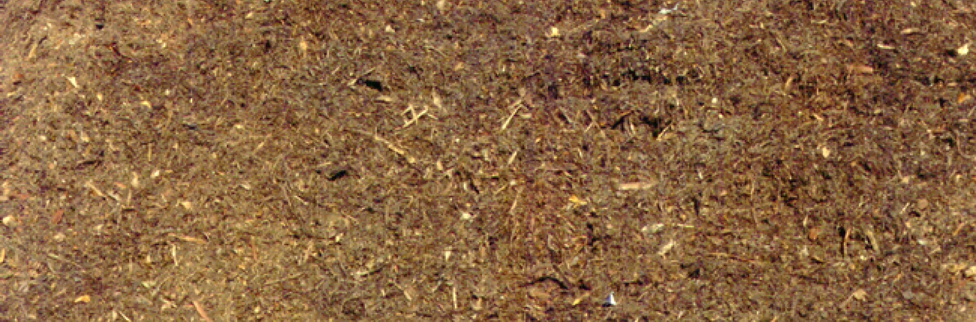 mulch
