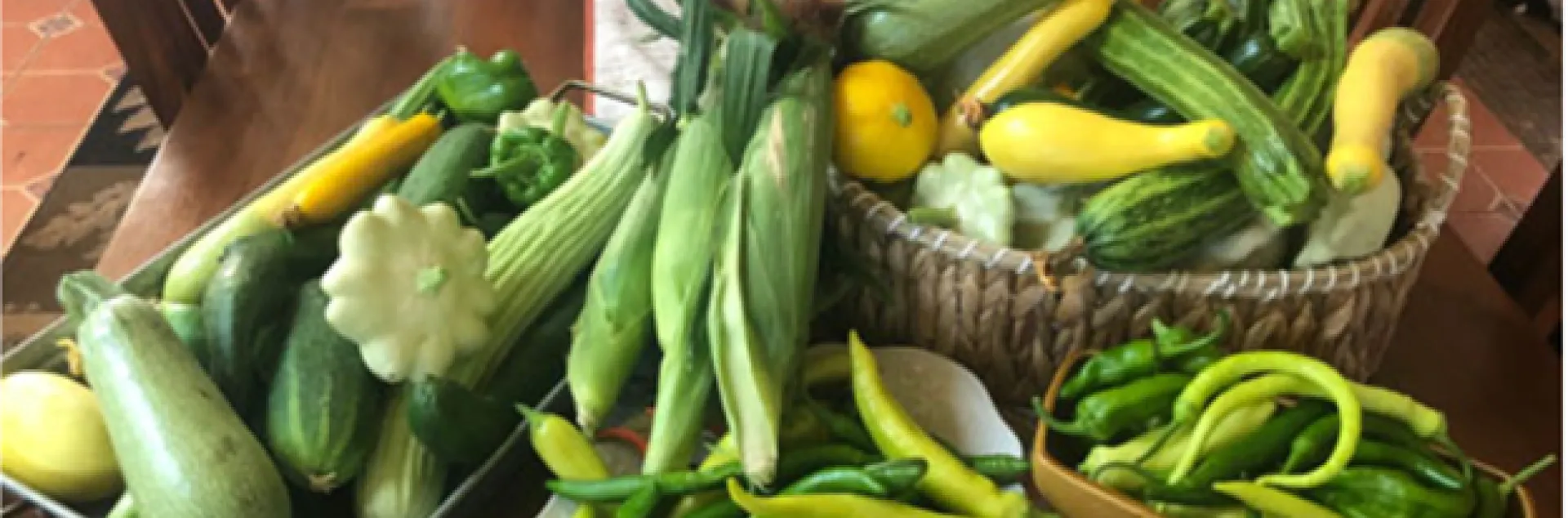 Photo by Becky Zelinski