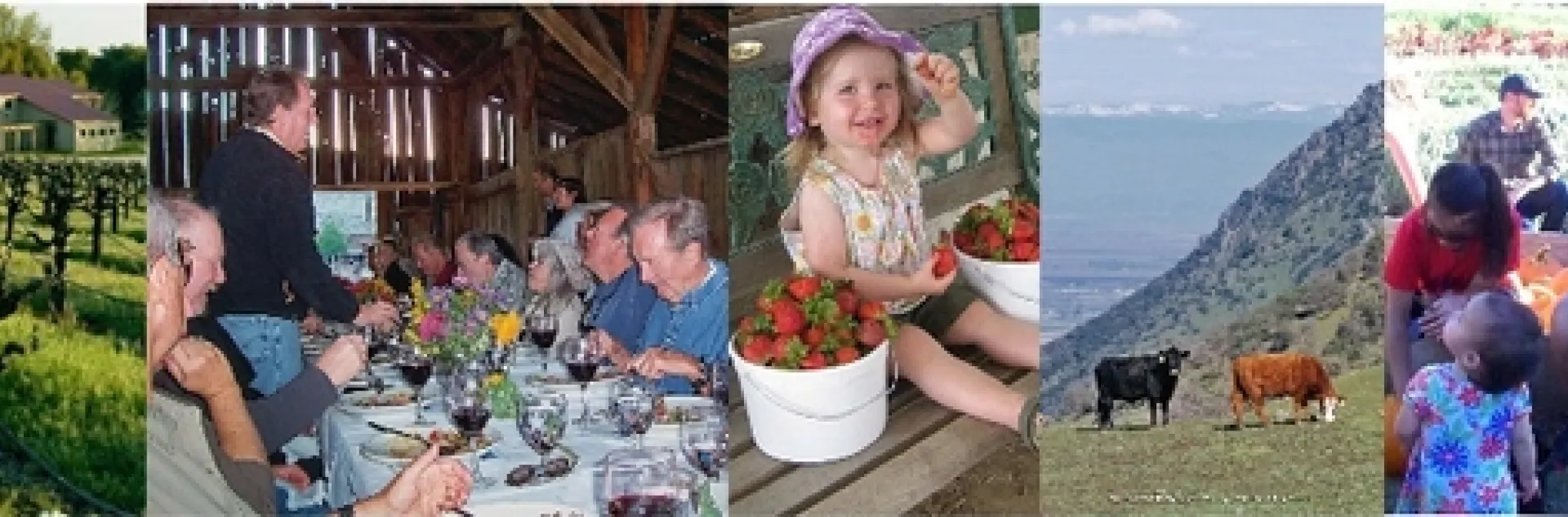 agritourism image