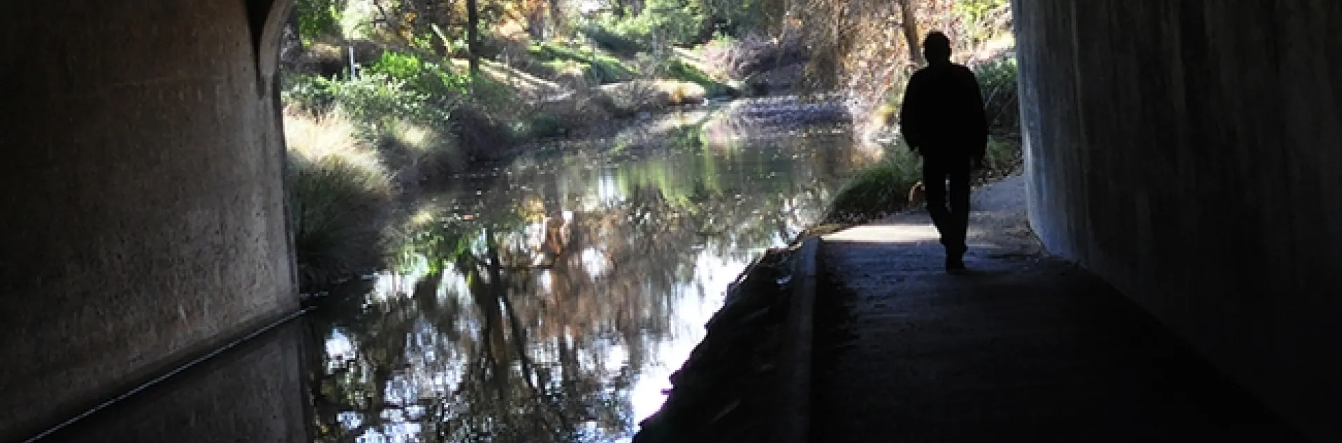 Some 5.8 million Americans have Alzheimer's disease, an irreversible brain disease that slowly destroys memory and thinking skills. UC Davis distinguished professor Bruce Hammock sees a light at the end of the tunnel. (Photo by Kathy Keatley Garvey)