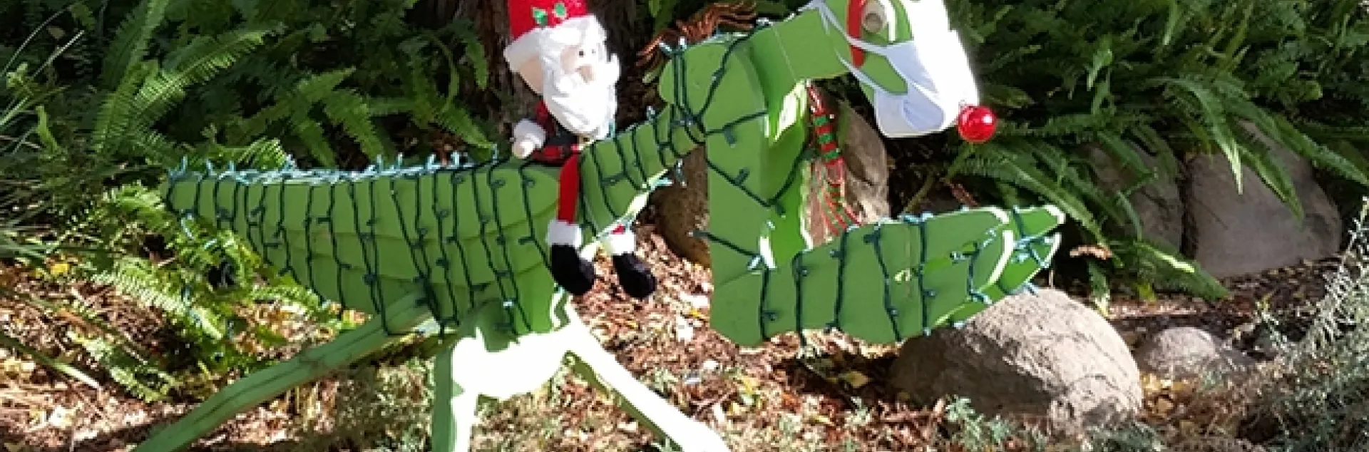 Giddy-up! Santa, being the jolly ol' gent he is, drives The Red-Nosed Mantis in front of the Davis home of entomologists Robert and Lynn Kimsey of the UC Davis Department of Entomology and Nematology. (Photo by Lynn Kimsey)