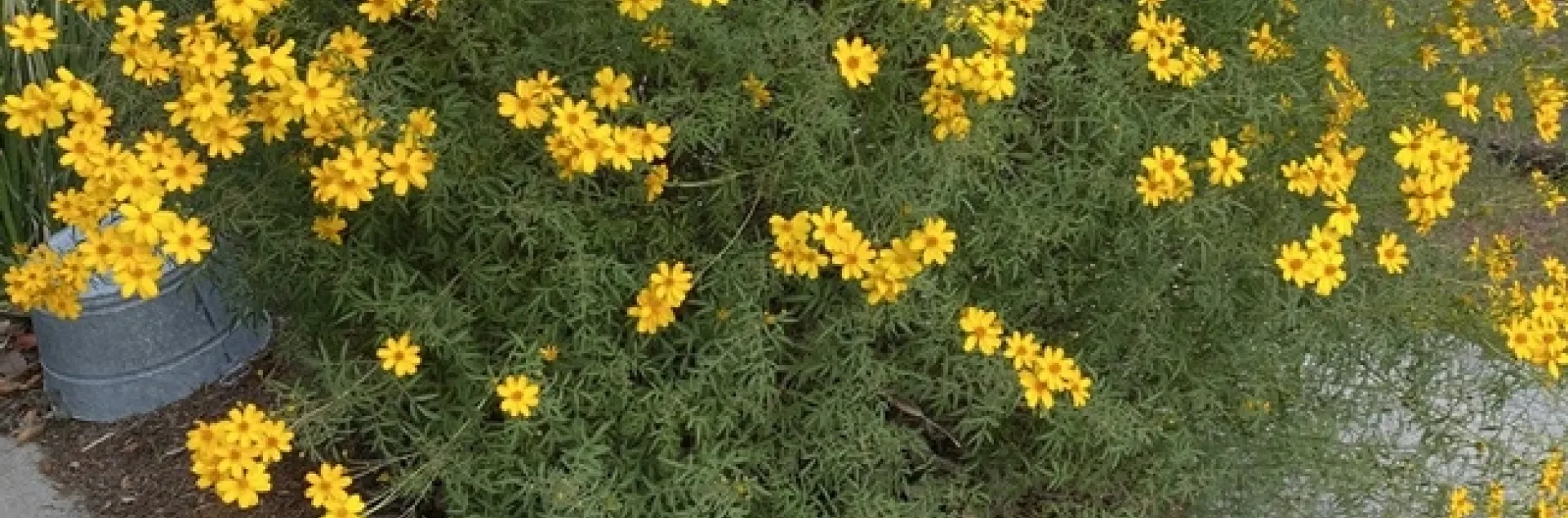 photos by Erin Mahaney