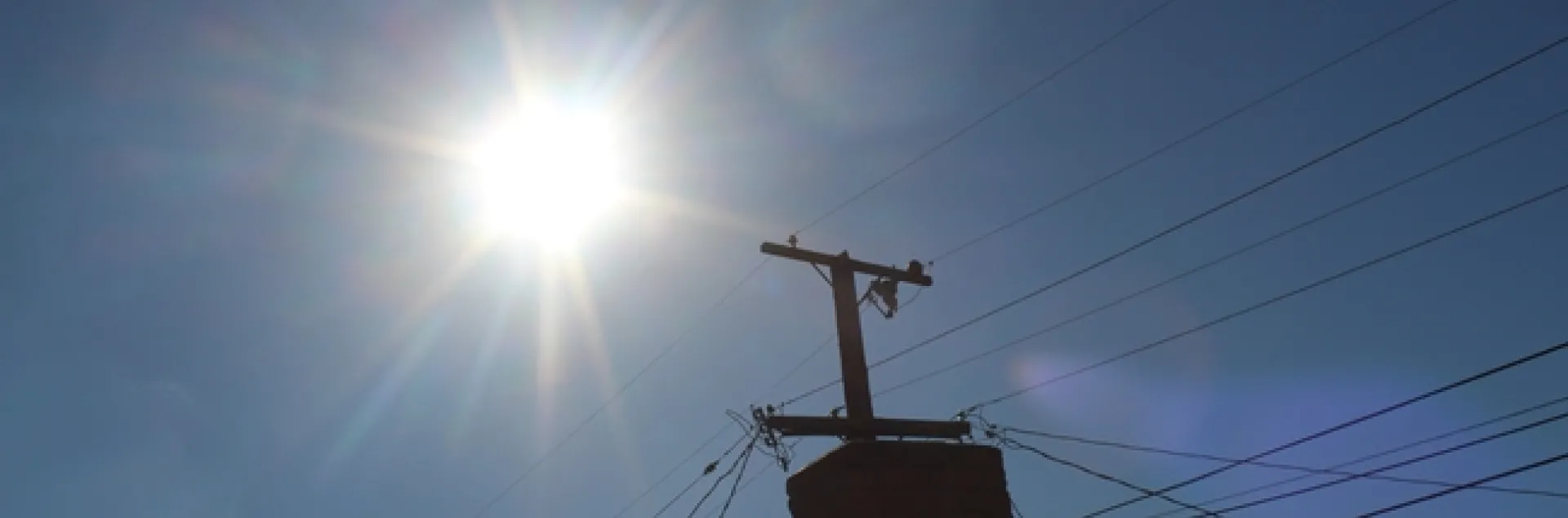 photo by Brenda Altman