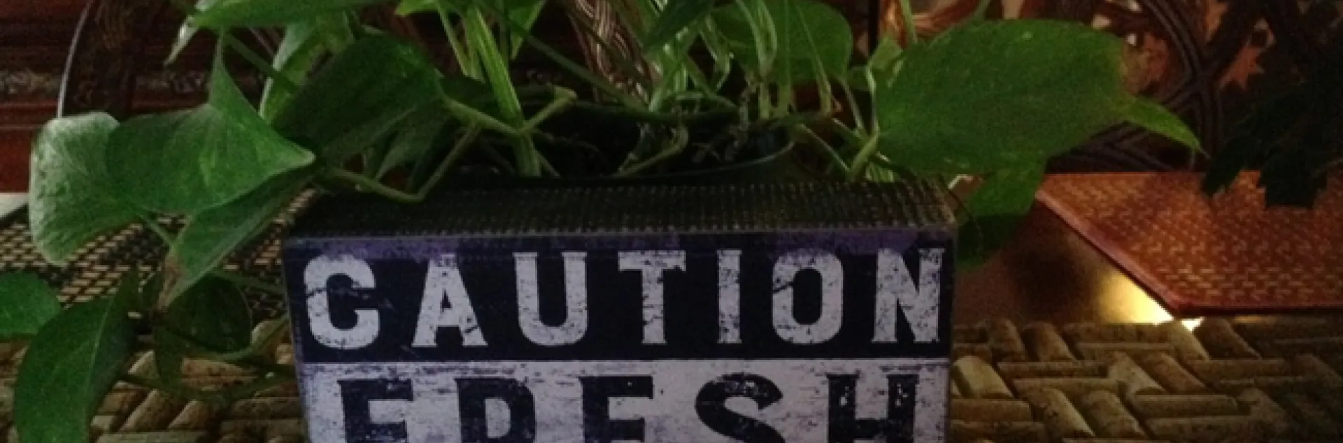 photo by Jenni Dodini