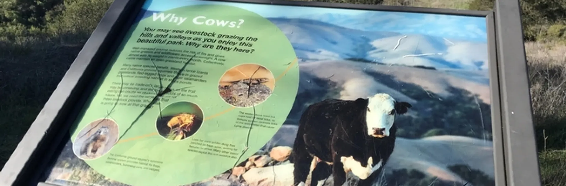 Mark Bell takes a hike and comes across some of Sheila's work