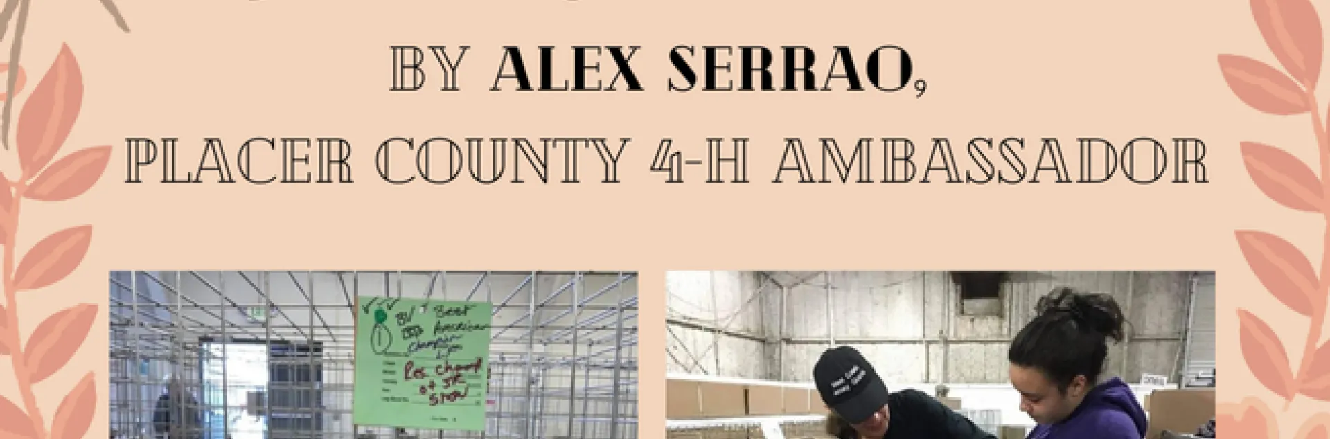 AlexBlogPost