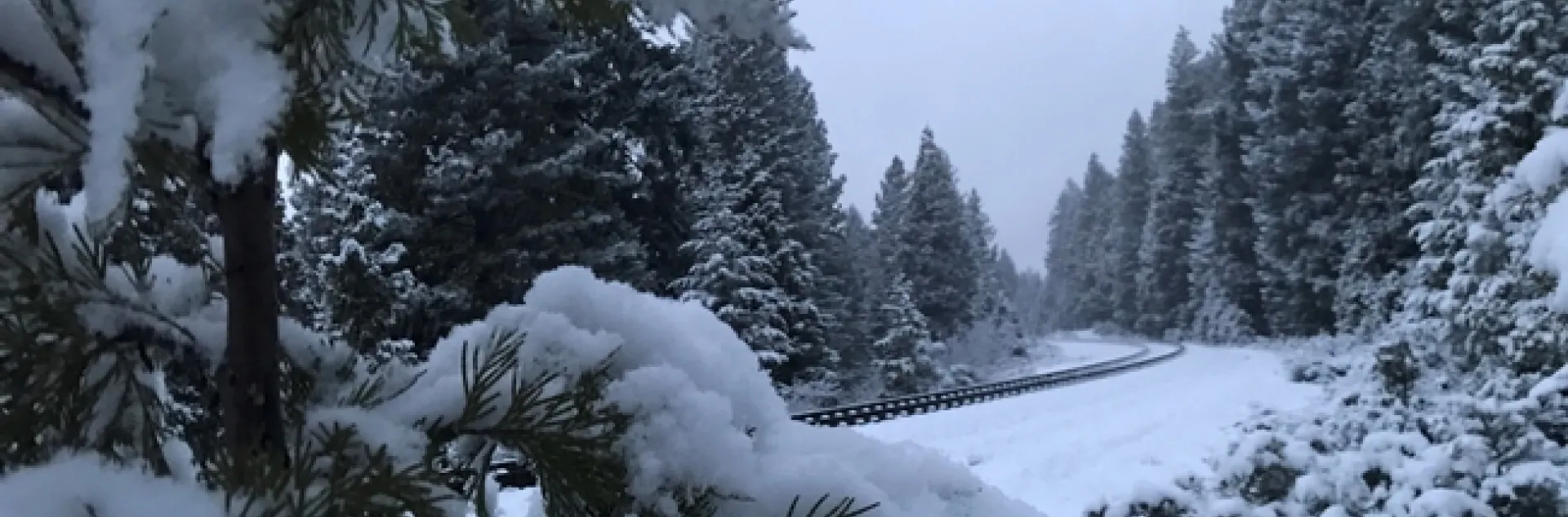 A cool weekend for Mark