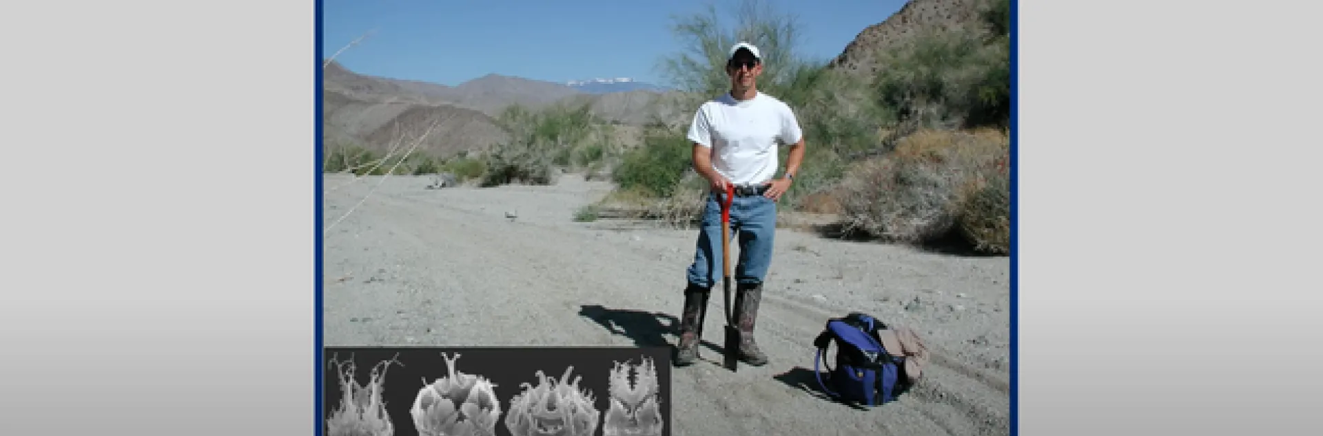 Nematologist Steve Nadler, professor and chair of the UC Davis Department of Entomology and Nematology, presenting a video on nematology. (Screen shot)