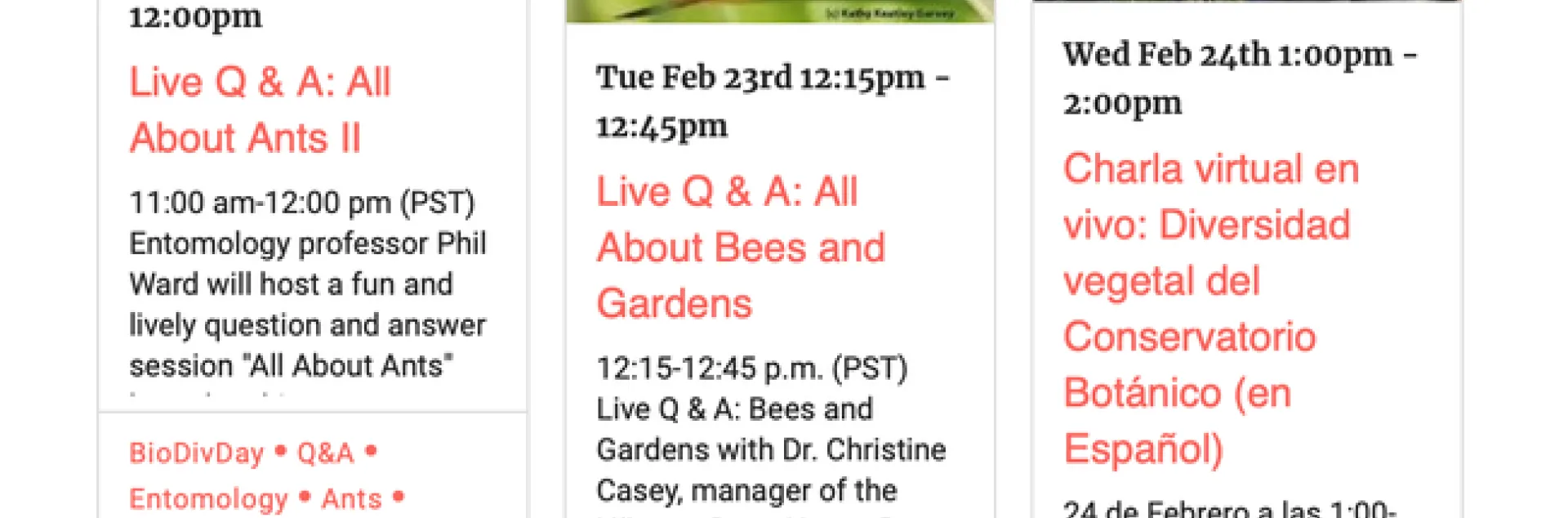 The line-up on Saturday, Feb. 20 for the UC Davis Biodiversity Museum Month live talks. (Screen shot)