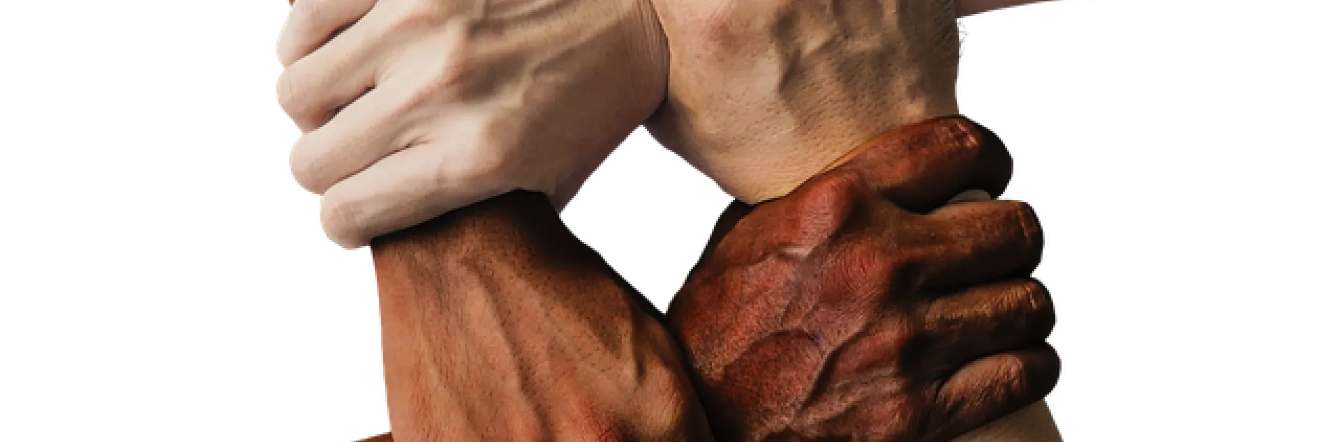 Four hands of light to dark skin color grip the wrist of another to form a closed link.