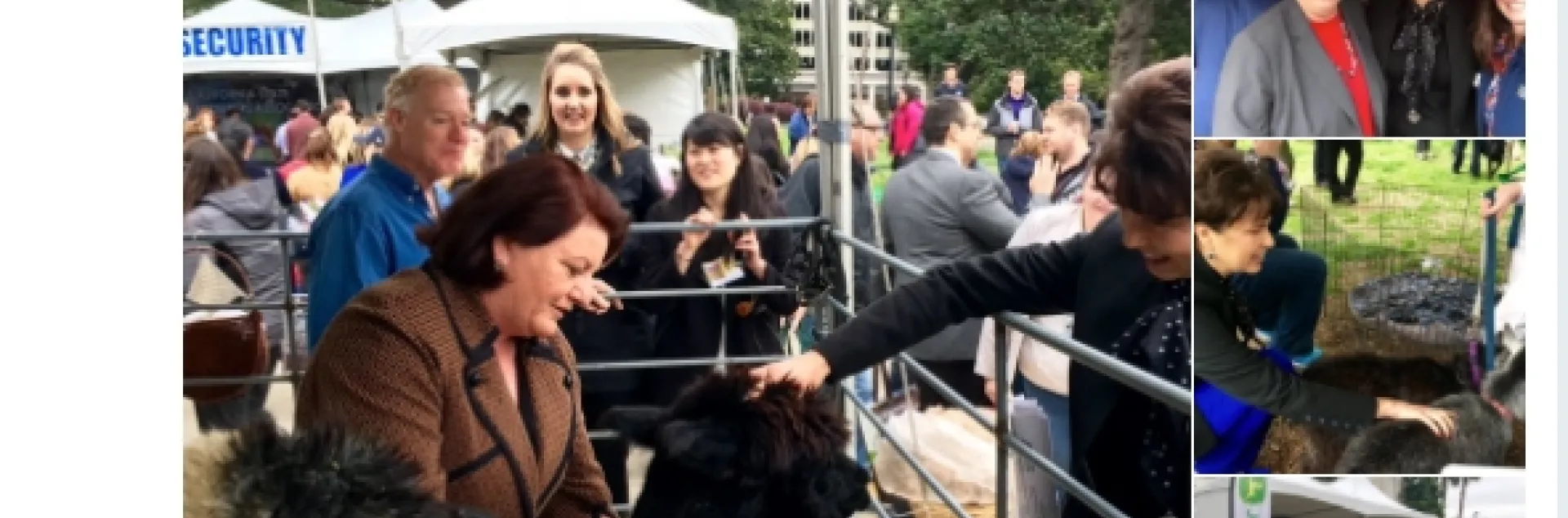 Most legislators, like state Senator Connie Leyva, use Twitter.