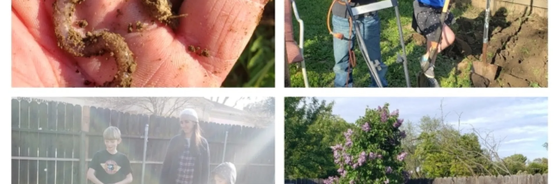 Michael Zwahlen's family really digs gardening. One of many ANR staff members who participated in ANR GROW, Zwahlen planted vegetables.