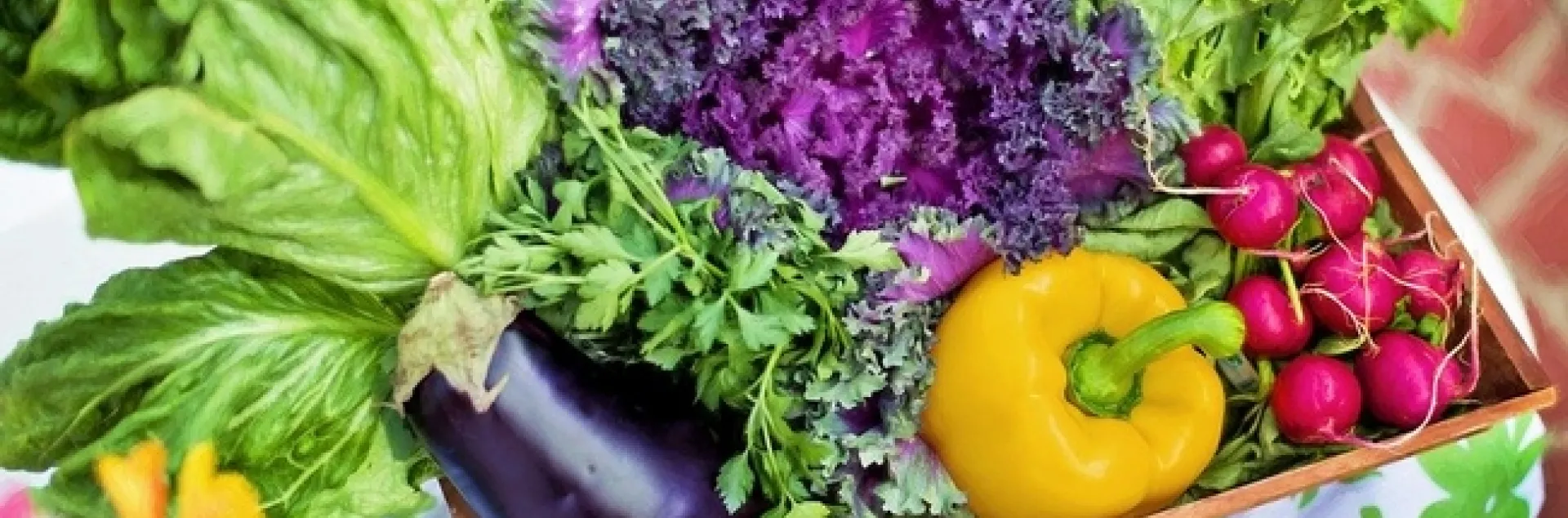 Basket full of vegetables including a yellow pepper, eggplant, radishes, parsley, lettuce, and kale.