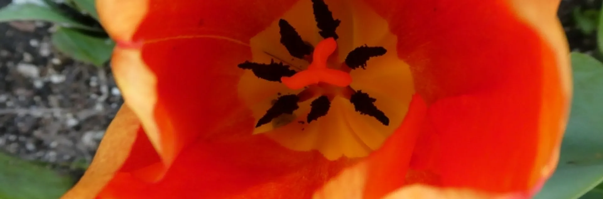 photos by Launa Herrmann