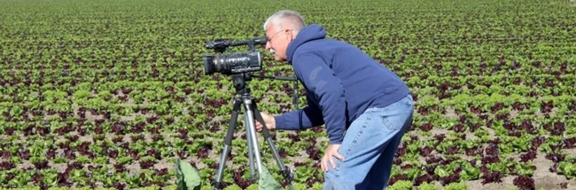 UCCE specialist Jeff Mitchell shoots footage for one of the videos in the "Training the Next Generation of California Vegetable Producers" series.