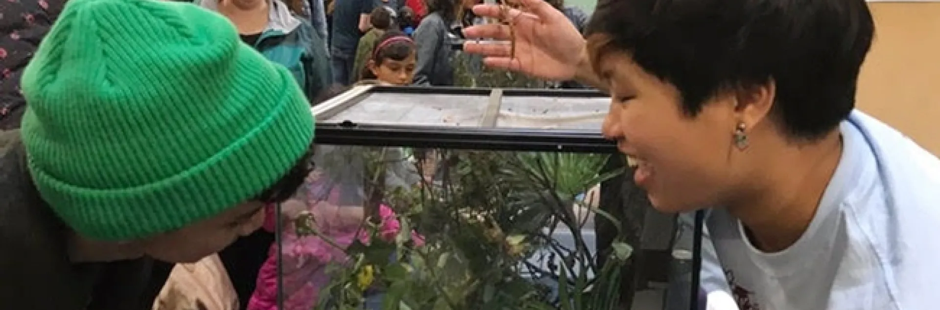 UC Davis entomology major Rebecca Jean "RJ" Millena shows visitors some of the critters in the Bohart Museum of Entomology.