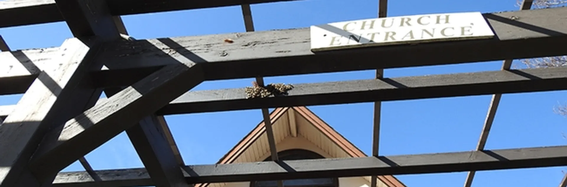 The honey bees swarmed last week to the entrance to the Epiphany Episcopal Church, Vacaville. (Photo by Kathy Keatley Garvey)