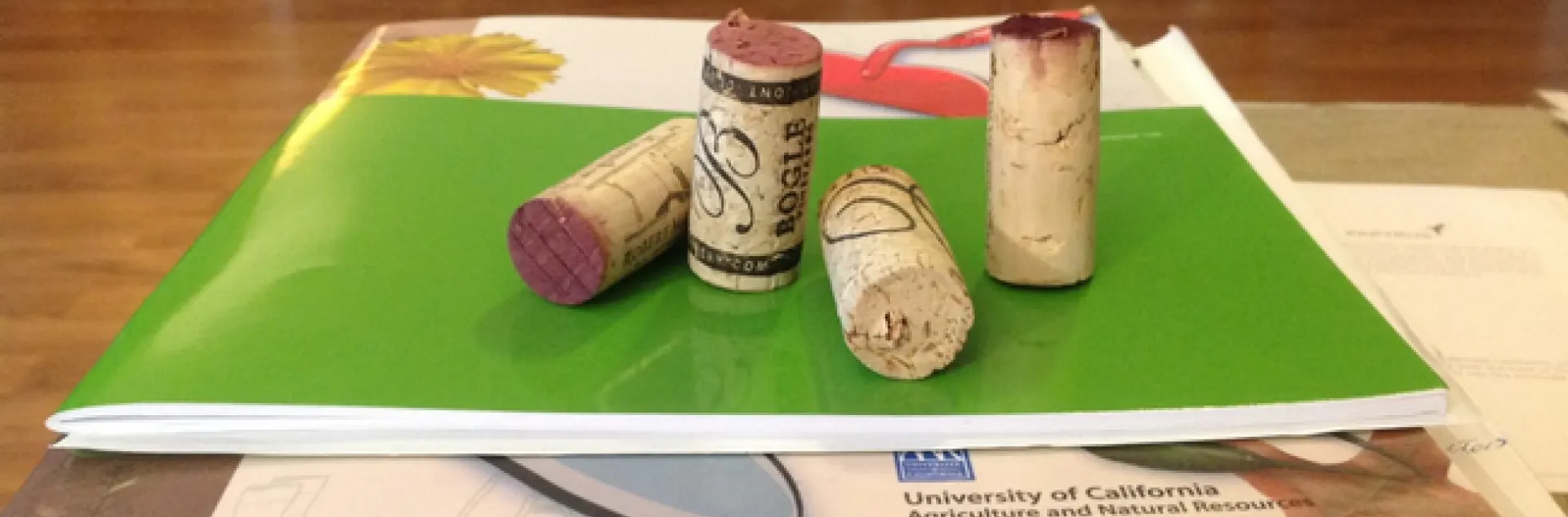 corks on book jdodini 2020