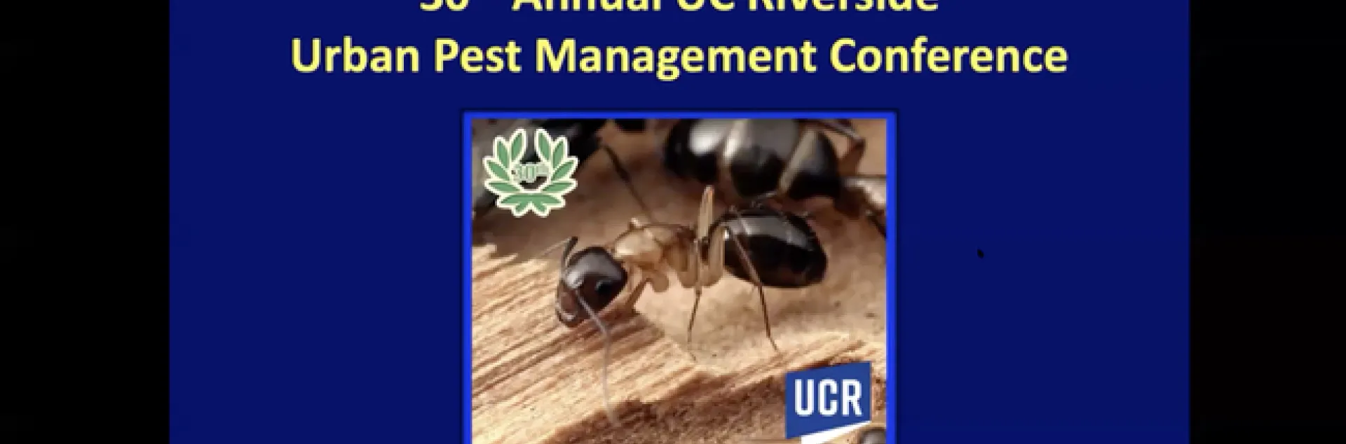 Screen Shot 2021-04-03 at 9.46.20 PM