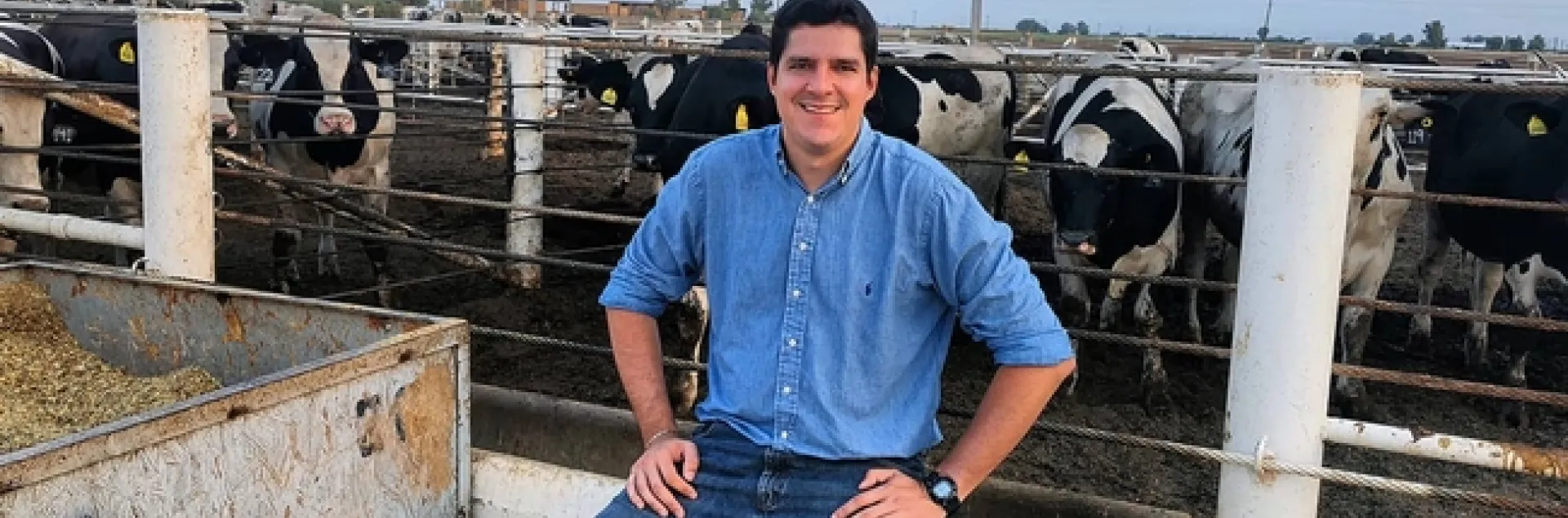 Pedro Carvalho sits outside Desert REC feedlot pen with black & white cattle looking at him.