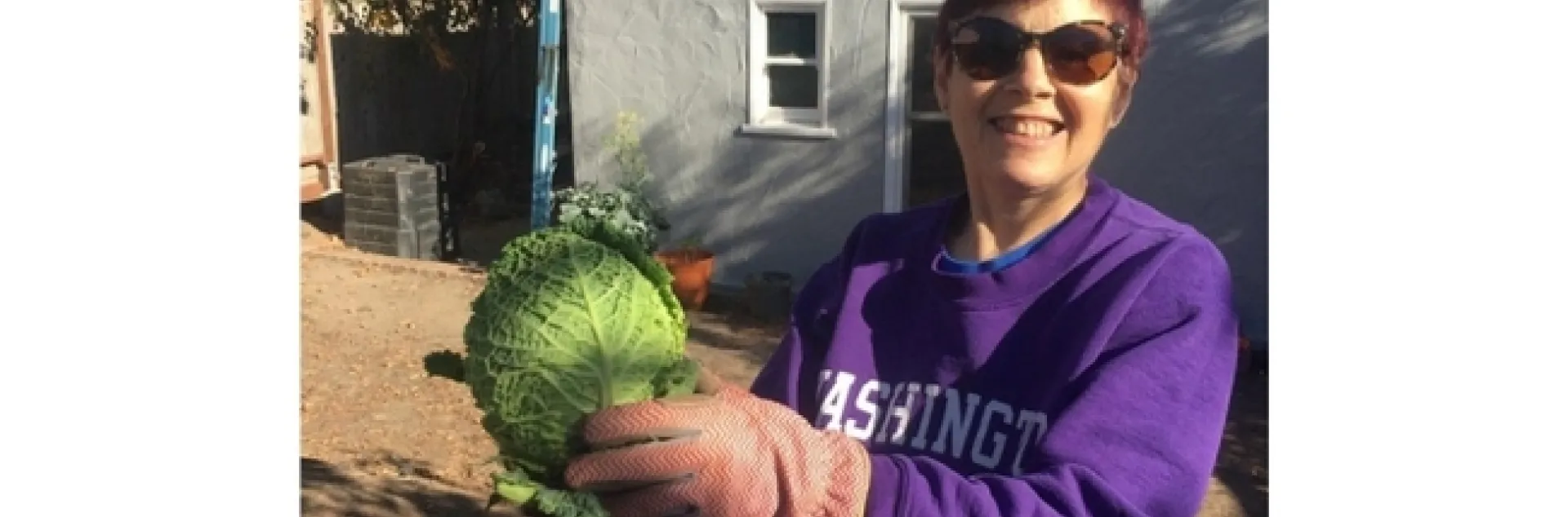Elaine Silver, CFHL UCCE Educator who works with JobTrain pictured with a head of cabbage