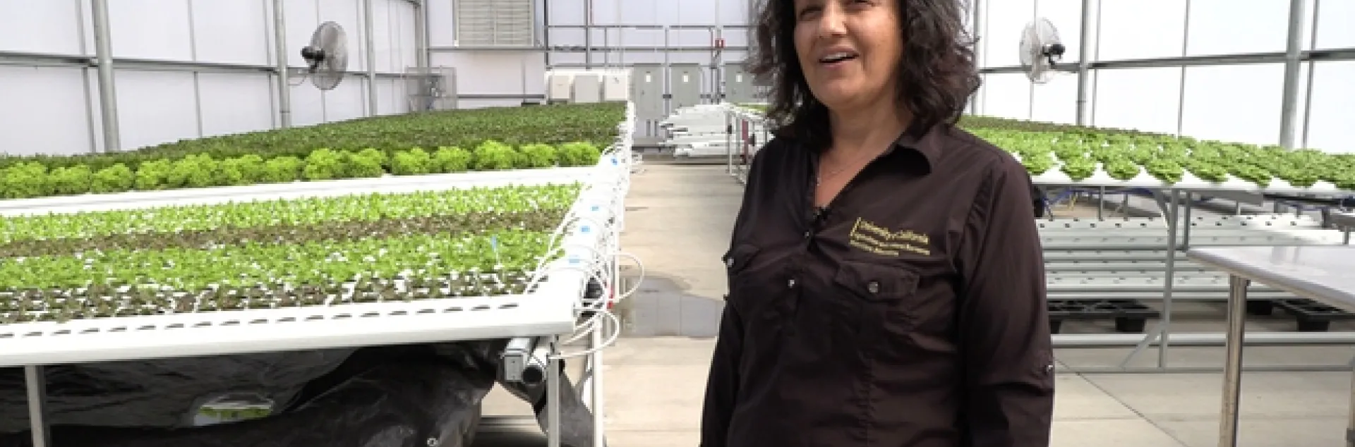 GreenHouse Clara Wilshire