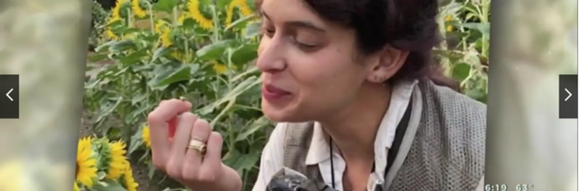 This is a screen shot of Lauren Ponisio in a CBS Los Angeles video, "Bee Biologist Can't Stop Buzzing About Her Work." CBS wrote that she "puts science, technology and math to work in her study of bees."