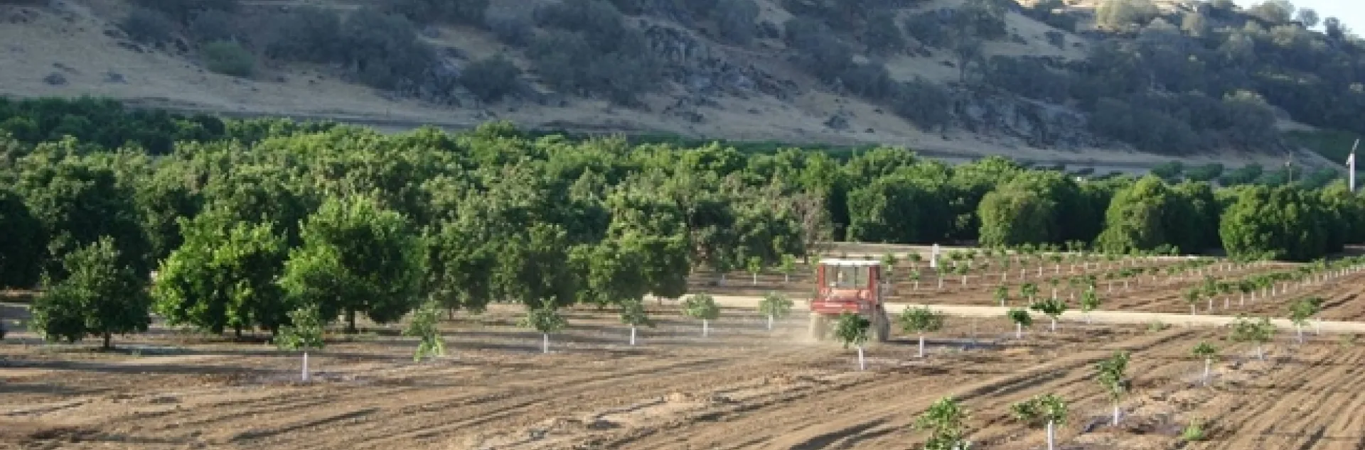 Lindcove Research & Extension Center, located in the foothills of Tulare County, has land, labor and facilities available for 2021-22 research projects.