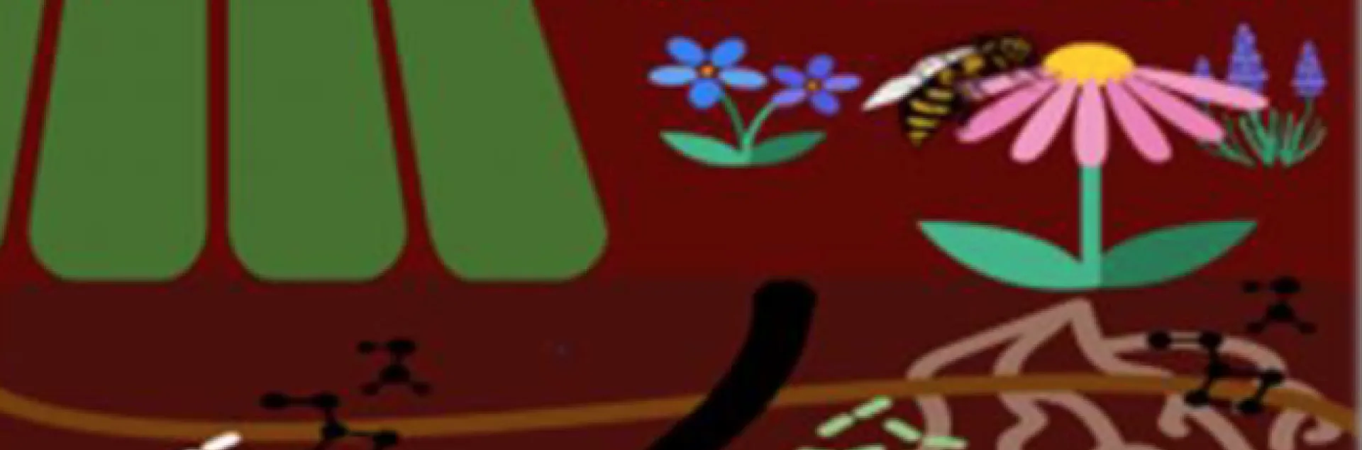 Pollination ecologist Alexander Harmon-Threatt focuses on the 80 percent of bees that nest underground.