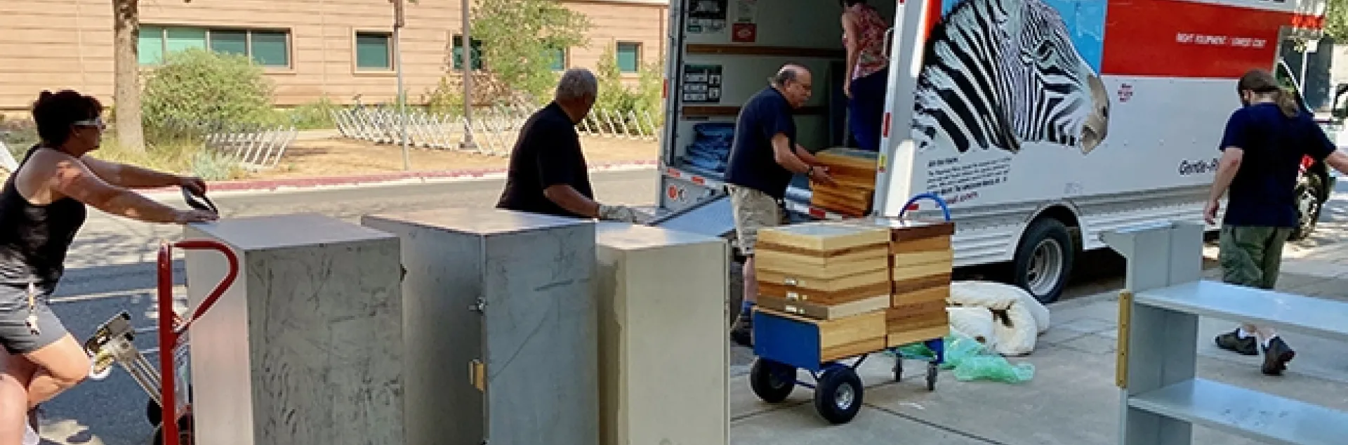 Bohart Museum officials and supporters unload the wasp specimens. Inside the truck is Bohart Museum director Lynn Kimsey. Forensic entomologist Bob Kimsey helps unload the drawers. At far right is Bohart Museum research associate Brennen Dyer. Also pictured are Kimsey friends, Mike Whitney, retired Placer County sheriff and his wife, Becky, with the handtruck. (Photo by Steve Heydon)