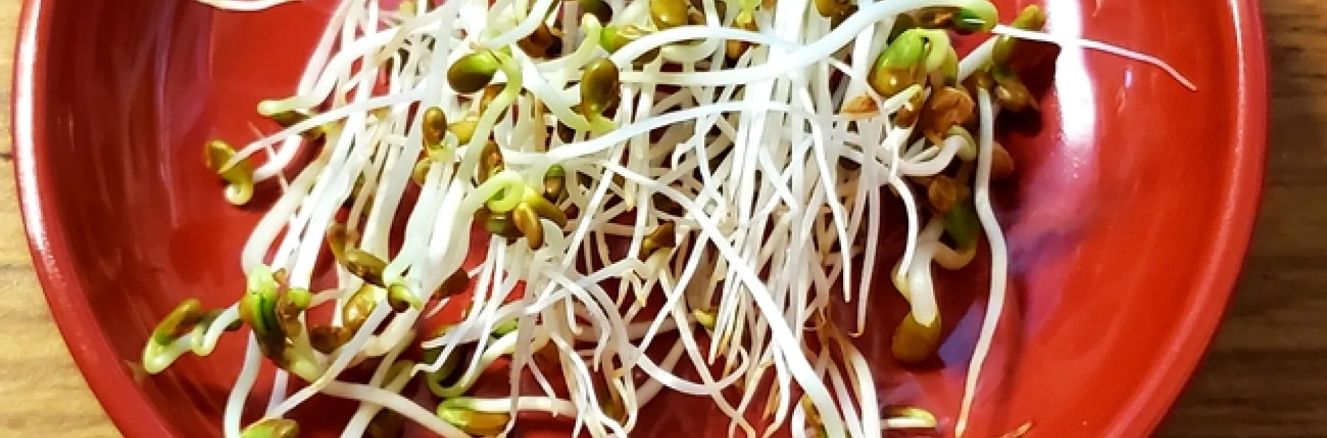 Day 4 - Ready to Eat - Tasty Broccoli Sprouts.