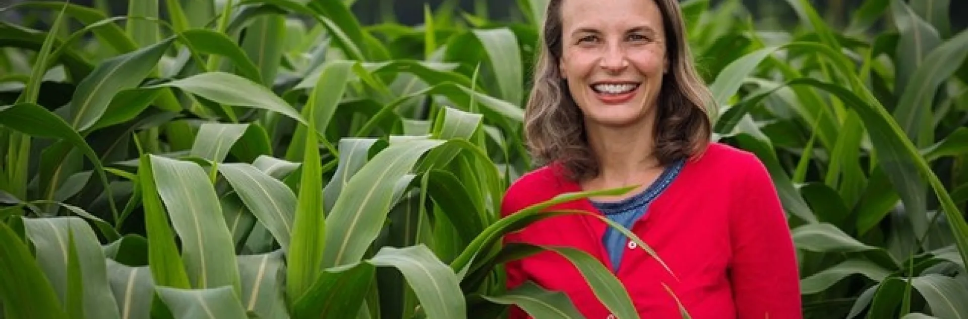 UC Davis alumnus Hannah Burrack, a professor of entomology and extension specialist at North Carolina State University, Raleigh, has been named chair of the Department of Entomology at Michigan State University, effective Jan. 1, 2022.