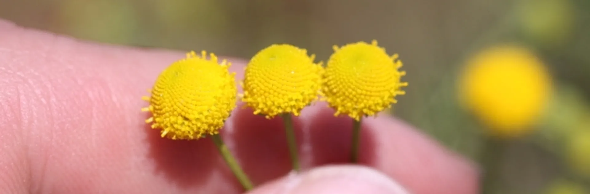 5C8BB7AA-B098-4A8A-90F9-F8A602717B12 1 105 c