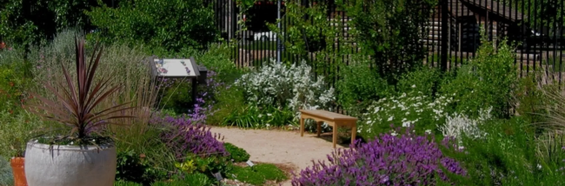 UC Davis Terrace native garden. (Ellen Zagory)