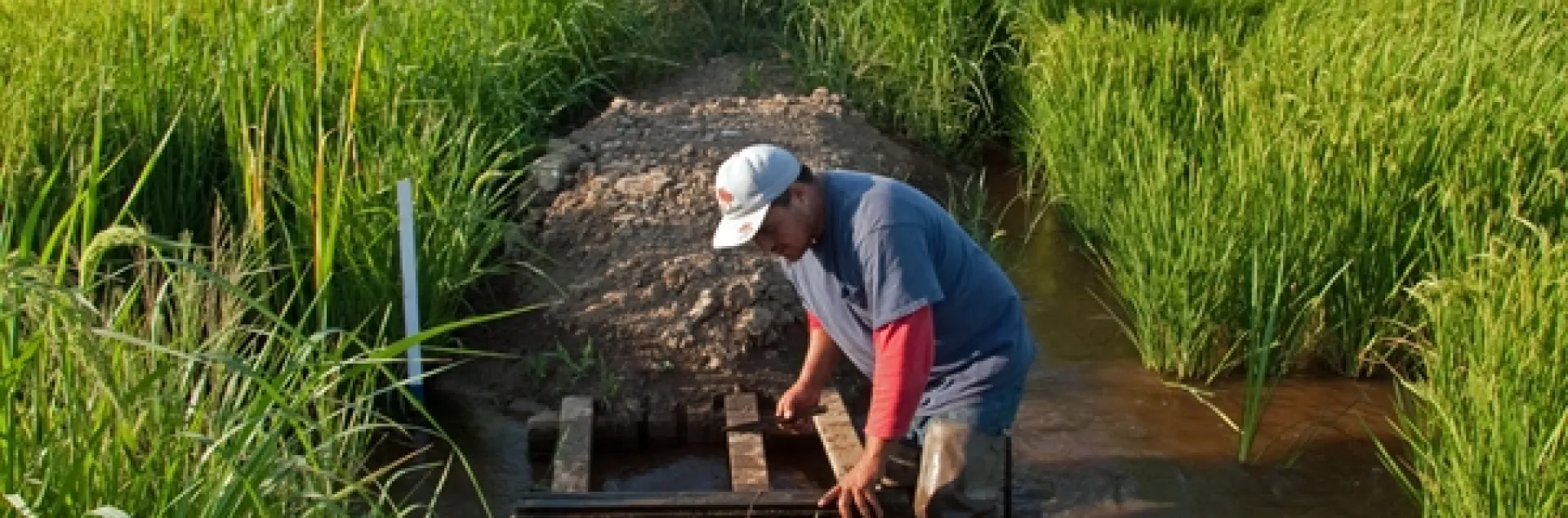 Montna Boards 82113 Lres