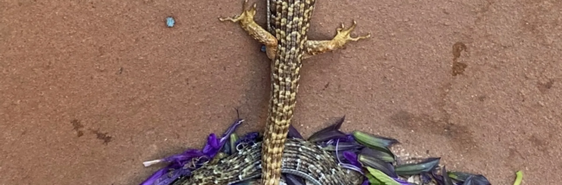 photos by Erin Mahaney