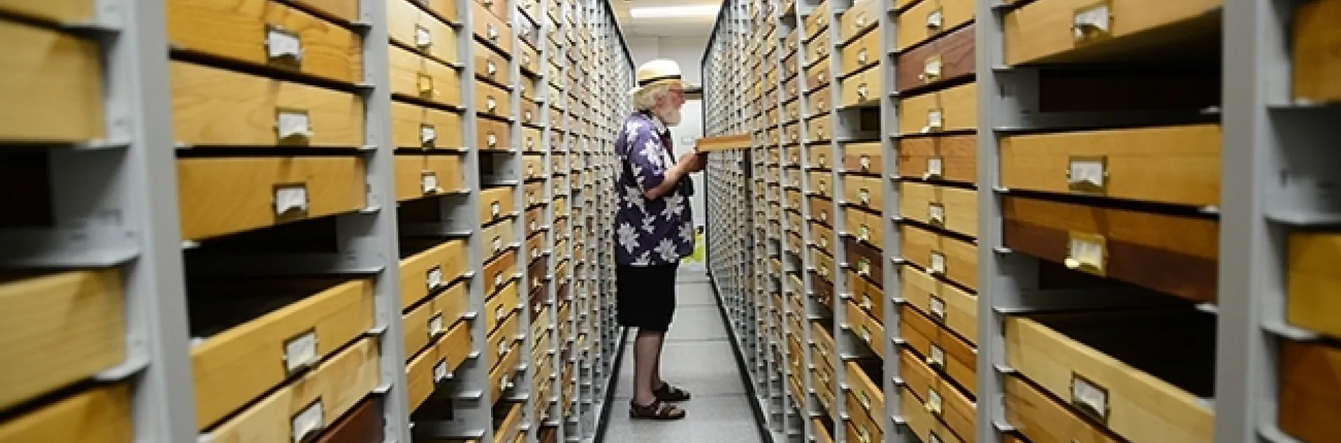 Scholar, writer, biologist and educator Robert Michael Pyle visiting the UC Davis Bohart Museum of Entomology lepidoptera collection in July of 2019. (Photo by Kathy Keatley Garvey)