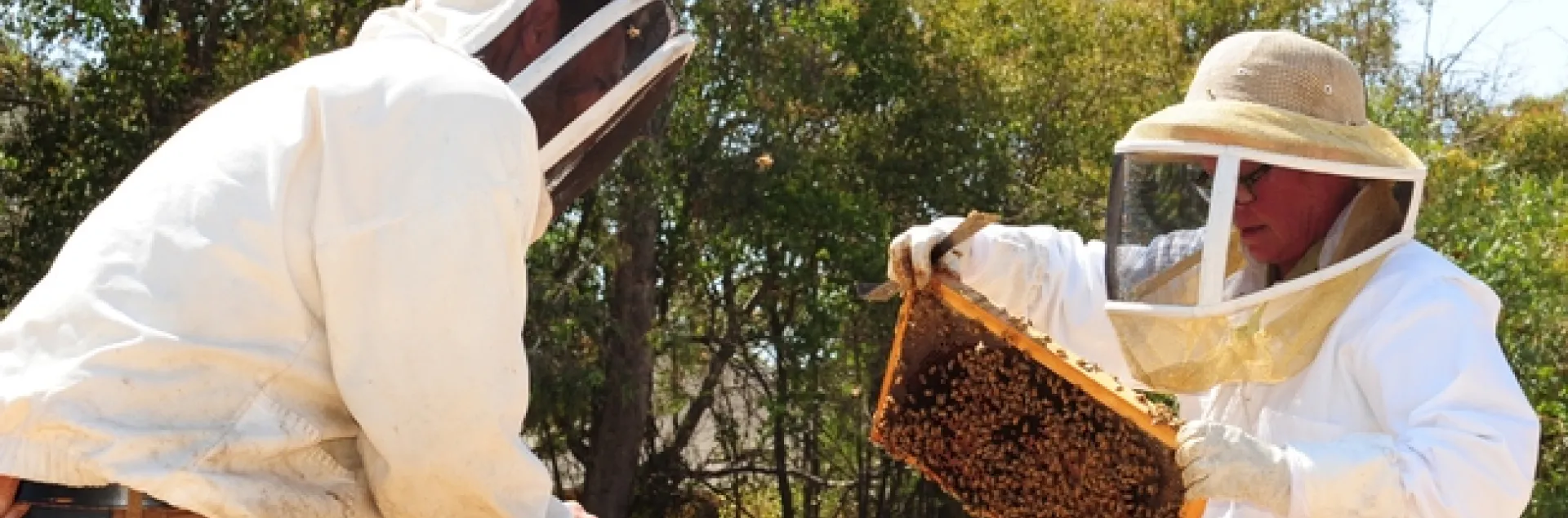 Cheryl Veretto was first in line to take the California Master Beekeeper Program practical test administered in September 2016. With her is UC Davis research associate Charley Nye, CAMBP examiner and manager of the Laidlaw facility. (Photo by Kathy Keatley Garvey)