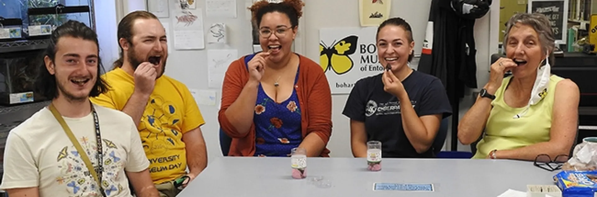 Sampling a chocolate-covered cicada snack are (from left) Maxwell Arnold, Brennen Dyer, Iris Bright, Amberly Hackmann, and Lynn Kimsey, director of the Bohart Museum of Entomology and a UC Davis distinguished professor of entomology. (Photo by Kathy Keatley Garvey)