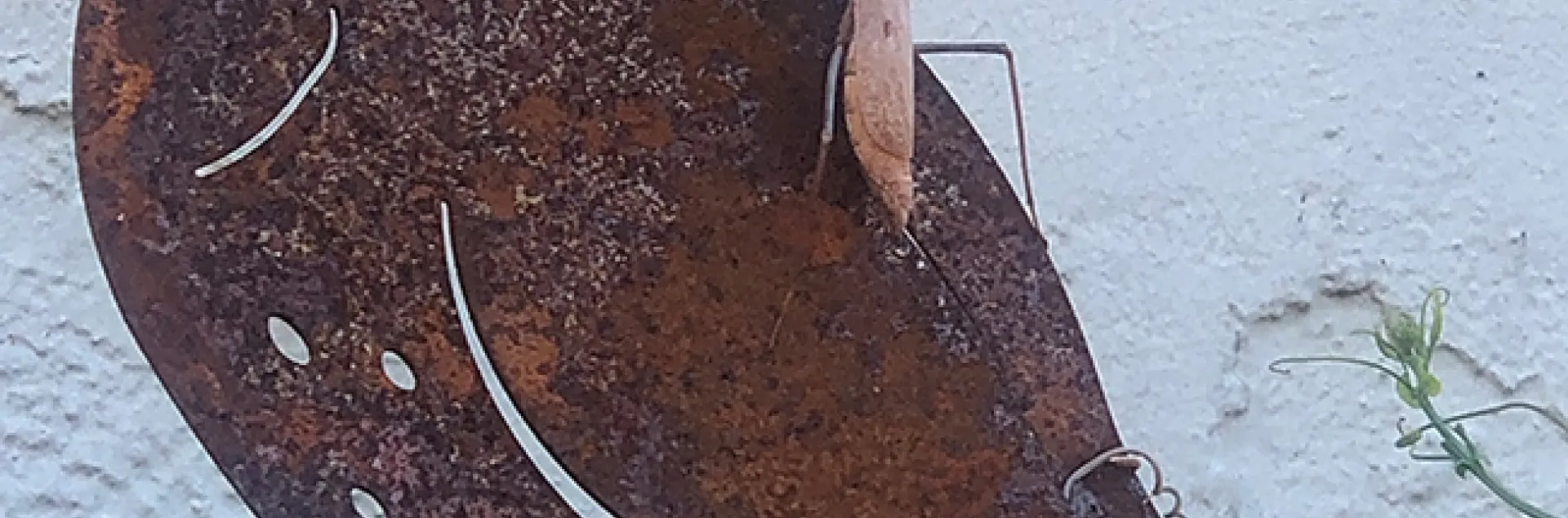 Praying mantis meets quail. (Photo by Kathy Keatley Garvey)