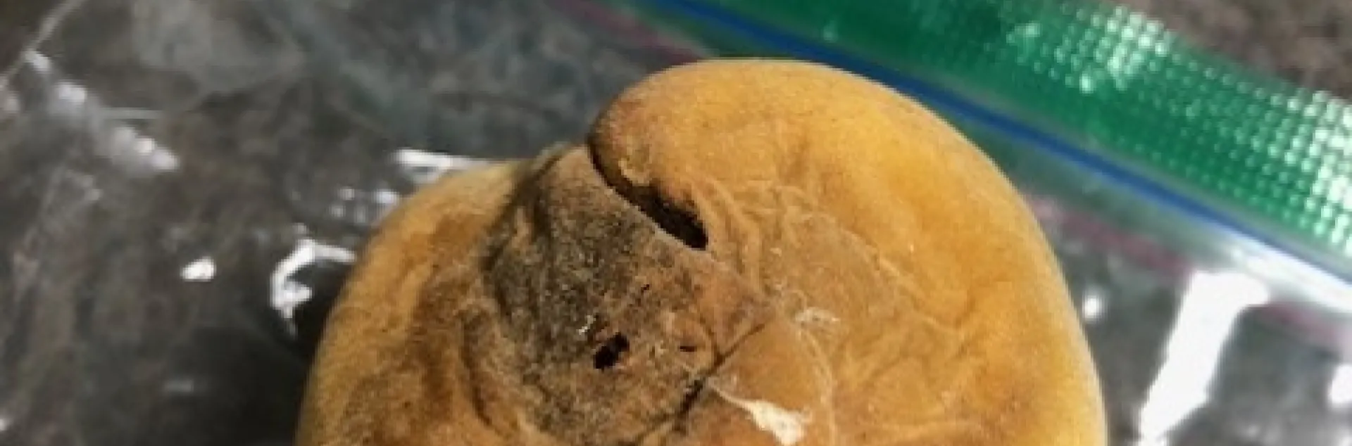 Yellow peach with browning and a hole in skin.